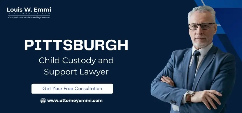best pittsburgh child custody and support lawyer best pittsburgh child custody and support lawyer